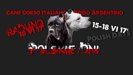 Polskie Dni Cane Corso i Dogo Argentino 2017 - już wkrótce
